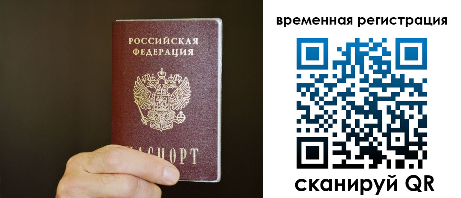 прописка гарантия в Ясном